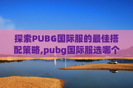 探索PUBG国际服的最佳搭配策略,pubg国际服选哪个服