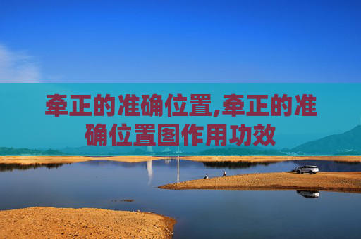 牵正的准确位置,牵正的准确位置图作用功效 牵正的准确位置,牵正的准确位置图作用功效