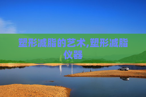 塑形减脂的艺术,塑形减脂仪器 塑形减脂的艺术,塑形减脂仪器