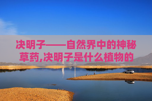 决明子——自然界中的神秘草药,决明子是什么植物的种子 决明子——自然界中的神秘草药,决明子是什么植物的种子
