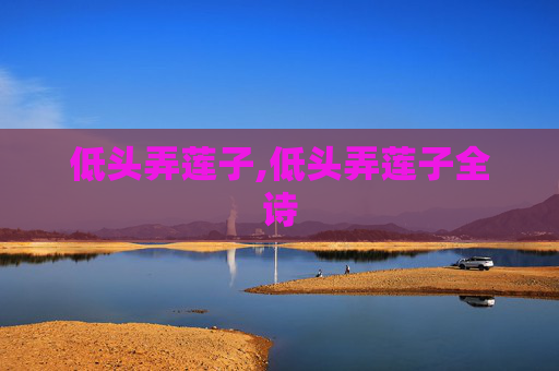 低头弄莲子,低头弄莲子全诗 低头弄莲子,低头弄莲子全诗