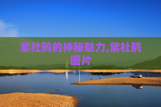 紫杜鹃的神秘魅力,紫杜鹃图片 紫杜鹃的神秘魅力,紫杜鹃图片