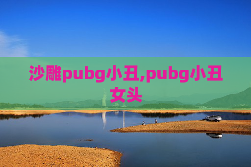 沙雕pubg小丑,pubg小丑女头