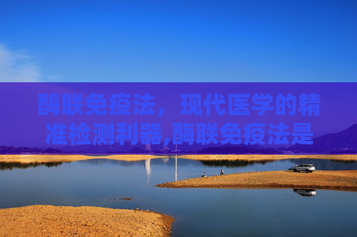 酶联免疫法，现代医学的精准检测利器,酶联免疫法是什么意思