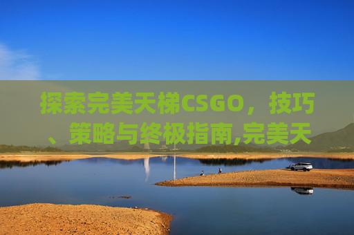 探索完美天梯CSGO，技巧、策略与终极指南,完美天梯匹配和完美官匹pro