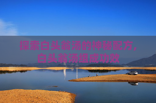 探索白头翁汤的神秘配方,白头翁汤组成功效