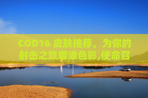COD16 皮肤推荐，为你的射击之旅增添色彩,使命召唤16皮肤