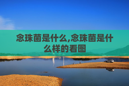 念珠菌是什么,念珠菌是什么样的看图