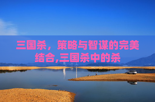 三国杀，策略与智谋的完美结合,三国杀中的杀