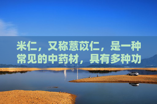 米仁，又称薏苡仁，是一种常见的中药材，具有多种功效与作用。它不仅能够清热解毒、利水渗湿，还有助于健脾养胃、消肿止痛。下面将详细介绍米仁的功效与作用。,米仁的功效与作用及食用方法