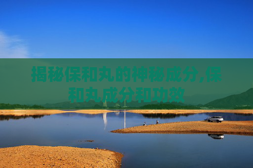 揭秘保和丸的神秘成分,保和丸成分和功效