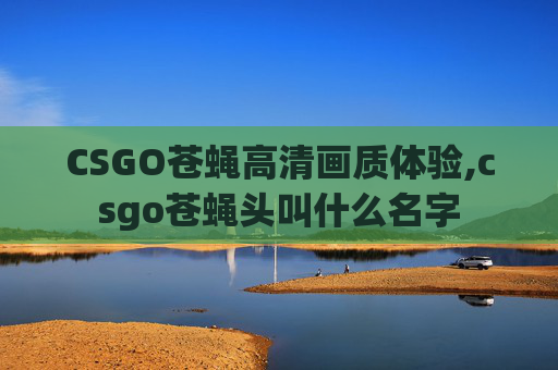 CSGO苍蝇高清画质体验,csgo苍蝇头叫什么名字