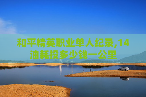 和平精英职业单人纪录,14油耗投多少钱一公里