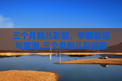 三个月胎儿彩超，早期发现与监测,三个月胎儿彩超报告单图片