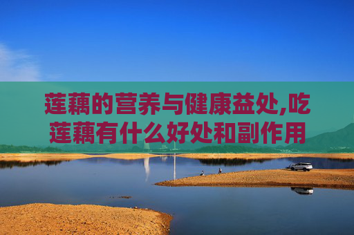 莲藕的营养与健康益处,吃莲藕有什么好处和副作用