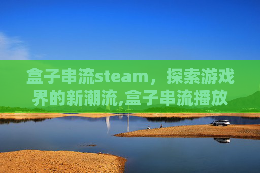 盒子串流steam，探索游戏界的新潮流,盒子串流播放器