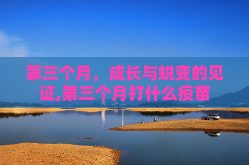 第三个月，成长与蜕变的见证,第三个月打什么疫苗
