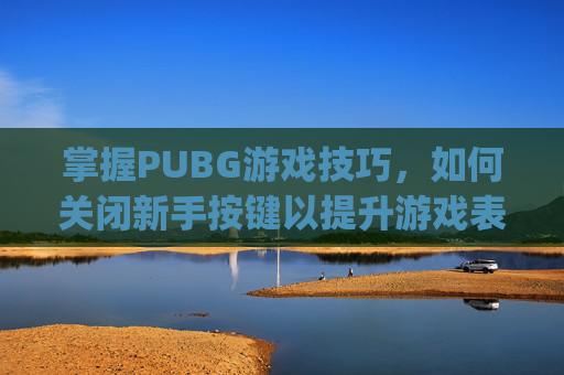 掌握PUBG游戏技巧，如何关闭新手按键以提升游戏表现,pubg怎么取消按键设置