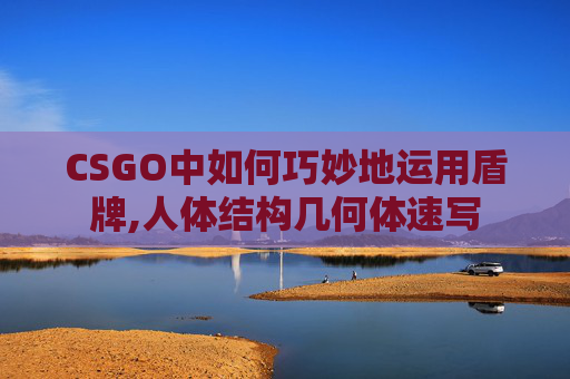 CSGO中如何巧妙地运用盾牌,人体结构几何体速写
