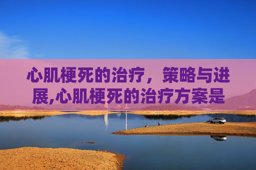 心肌梗死的治疗，策略与进展,心肌梗死的治疗方案是什么