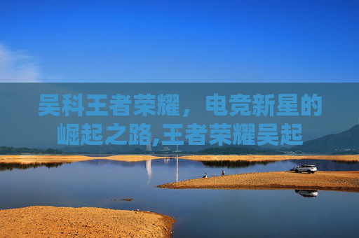 吴科王者荣耀，电竞新星的崛起之路,王者荣耀吴起