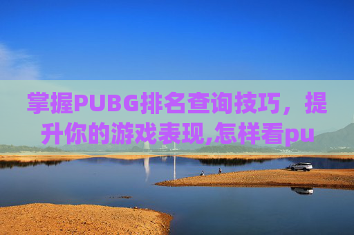 掌握PUBG排名查询技巧，提升你的游戏表现,怎样看pubg当年的排位战绩