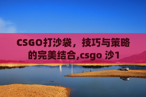 CSGO打沙袋，技巧与策略的完美结合,csgo 沙1
