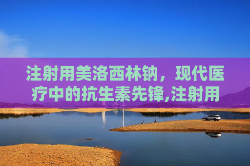 注射用美洛西林钠，现代医疗中的抗生素先锋,注射用美洛西林钠说明书