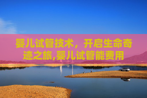 婴儿试管技术，开启生命奇迹之旅,婴儿试管能费用