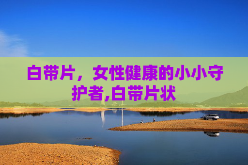 白带片，女性健康的小小守护者,白带片状