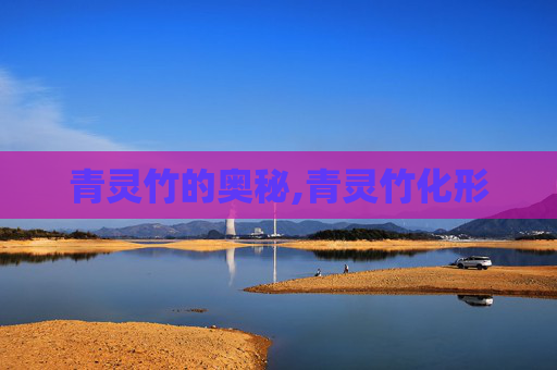 青灵竹的奥秘,青灵竹化形