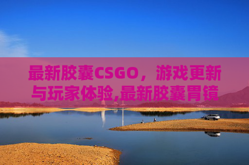 最新胶囊CSGO，游戏更新与玩家体验,最新胶囊胃镜价格