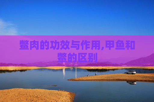 鳖肉的功效与作用,甲鱼和鳖的区别