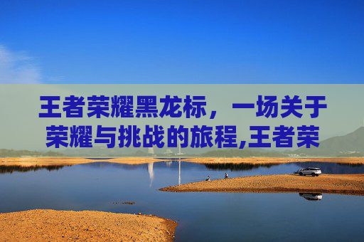 王者荣耀黑龙标，一场关于荣耀与挑战的旅程,王者荣耀黑龙标志图片