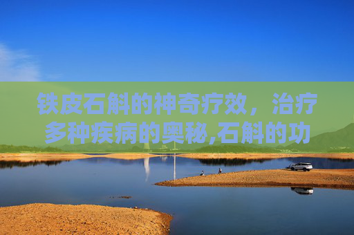 铁皮石斛的神奇疗效，治疗多种疾病的奥秘,石斛的功能主治
