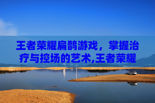 王者荣耀扁鹊游戏，掌握治疗与控场的艺术,王者荣耀扁鹊游戏解说