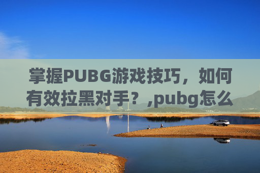掌握PUBG游戏技巧，如何有效拉黑对手？,pubg怎么拉黑别人