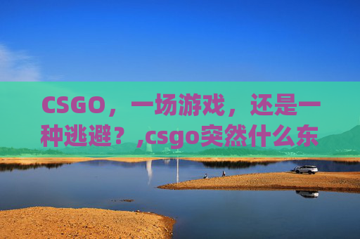 CSGO，一场游戏，还是一种逃避？,csgo突然什么东西都不显示