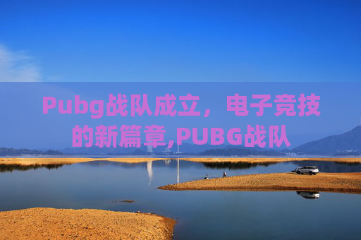 Pubg战队成立，电子竞技的新篇章,PUBG战队