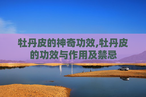 牡丹皮的神奇功效,牡丹皮的功效与作用及禁忌