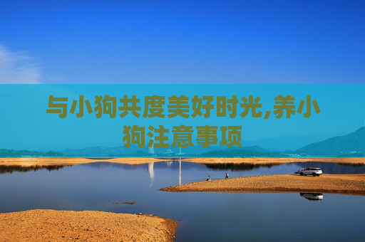 与小狗共度美好时光,养小狗注意事项