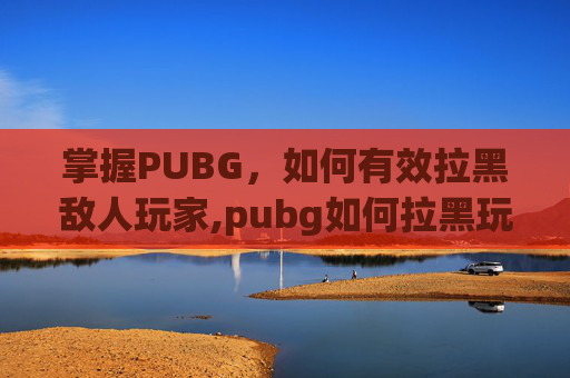 掌握PUBG，如何有效拉黑敌人玩家,pubg如何拉黑玩家