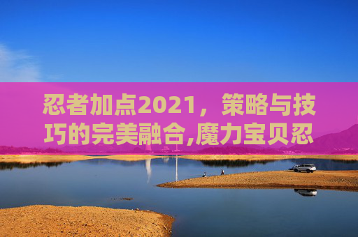 忍者加点2021，策略与技巧的完美融合,魔力宝贝忍者加点