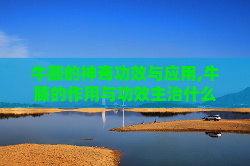 牛膝的神奇功效与应用,牛膝的作用与功效主治什么