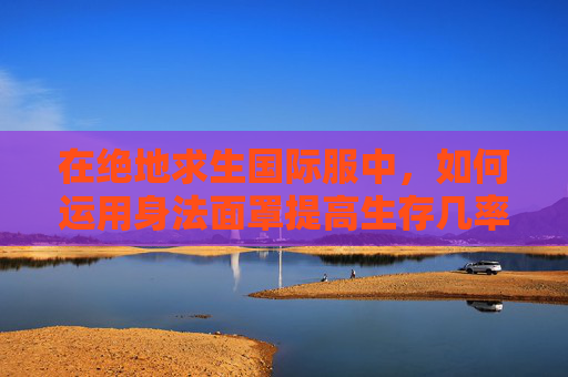 在绝地求生国际服中，如何运用身法面罩提高生存几率？,绝地求生国际服豹纹面罩
