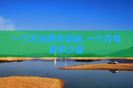 一个月电费的奥秘,一个月电费多少度