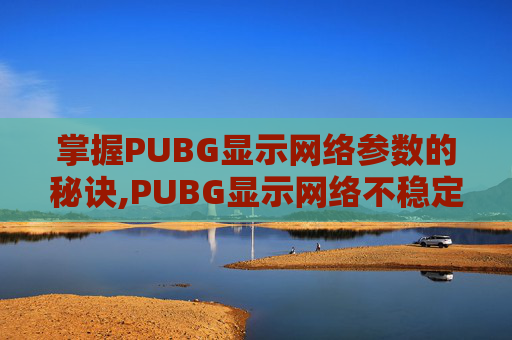 掌握PUBG显示网络参数的秘诀,PUBG显示网络不稳定
