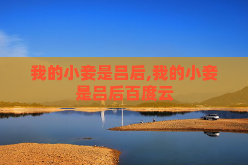 我的小妾是吕后,我的小妾是吕后百度云