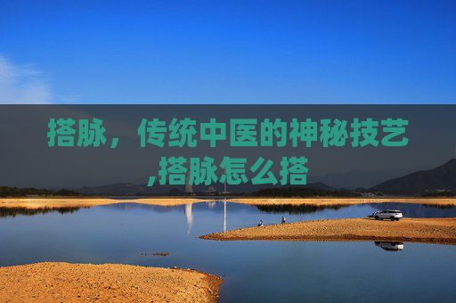 搭脉，传统中医的神秘技艺,搭脉怎么搭