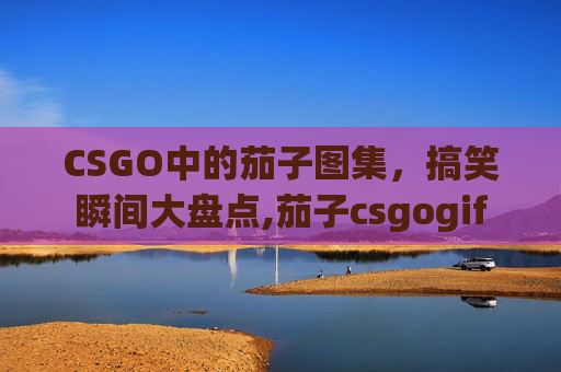 CSGO中的茄子图集，搞笑瞬间大盘点,茄子csgogif